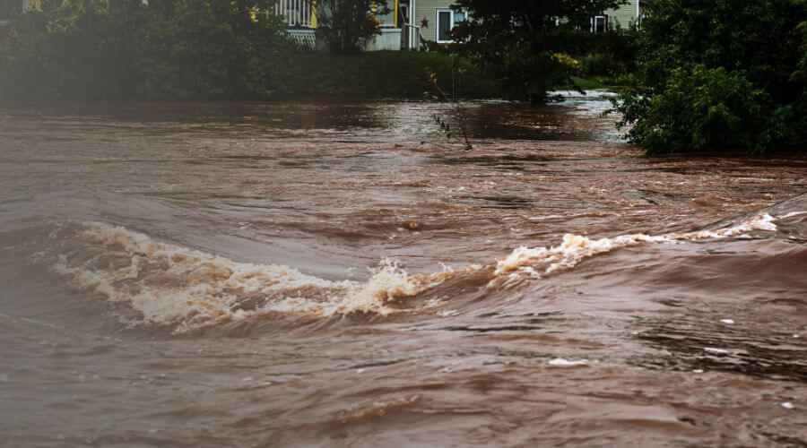 Why choose Water Damage Restoration pros for water damage restoration in Coker, AL